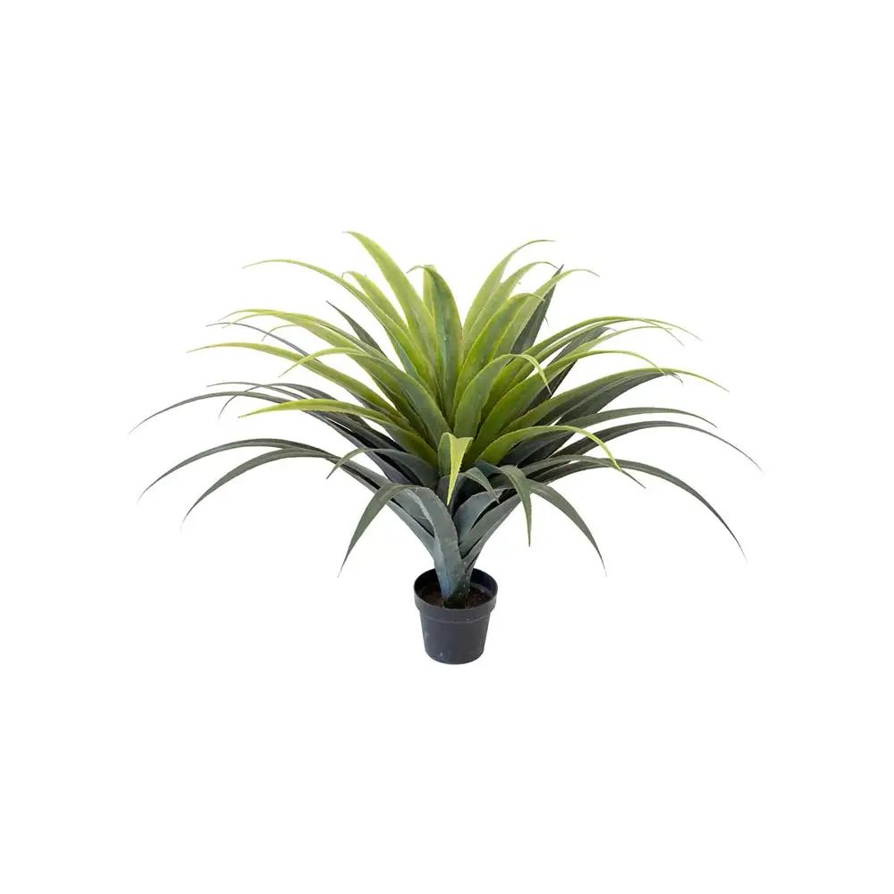 Mr Plant, Agave Sukkulent 110 cm